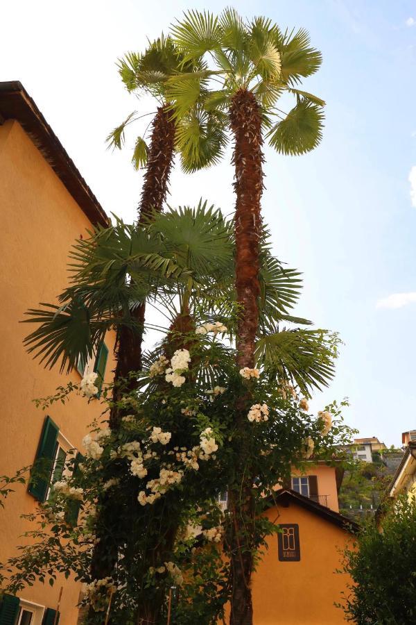 B&Borgo Ascona Exteriér fotografie